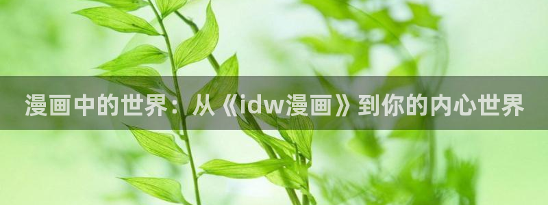 18禁漫天堂：漫画中的世界：从《idw漫画》到你的内心世界