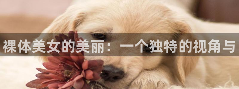 禁漫天堂漫画网免费版：裸体美女的美丽：一个独特的视角与