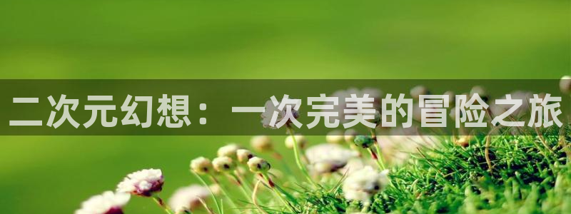 禁漫天堂一：二次元幻想：一次完美的冒险之旅