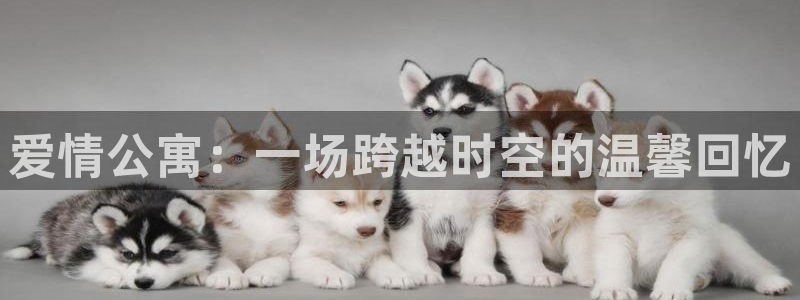 ★禁漫天堂漫画网：爱情公寓：一场跨越时空的温馨回忆